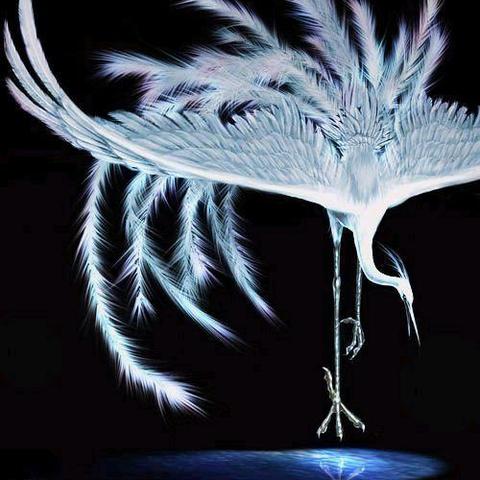 (山海经 方舟)探索神秘的山海经方舟：生存演化之旅，探寻生命的奥秘