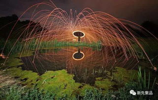 (蹦火是什么意思)冒火的蹦蹦：探寻热情与冲动交织的独特世界