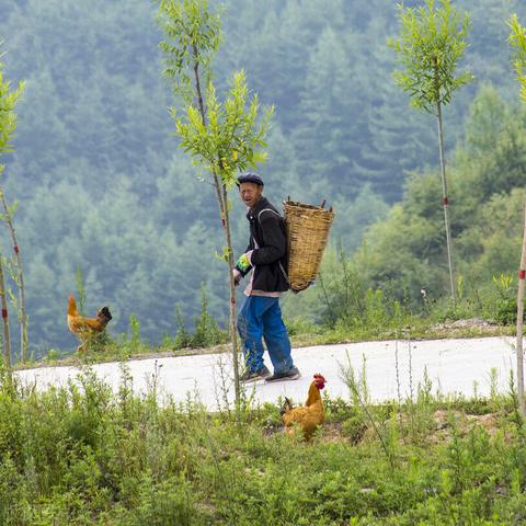 (红尘浮华的所有小说作品)红尘和浮华之间深刻的联系，缠绵不绝