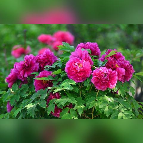 (轮回乐园88读书网)轮回乐园：畅游八一中文网的无尽乐趣与奇幻体验