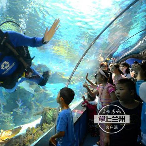 (海底世界之深海探秘)21世纪初海底探险：零几年探秘深海的游戏