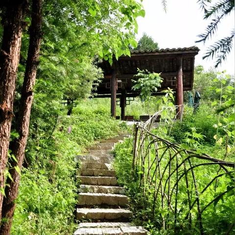 (漫步浮生,追逐梦想的足迹,感悟生命的深沉意义)漫步浮生,追逐梦想的足迹,感悟生命的深沉意义 (漫步浮生,追逐梦想的足迹,感悟生命的深沉意义)漫步浮生,追逐梦想的足迹,感悟生命的深沉意义