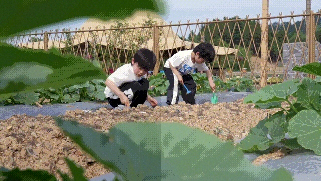 (乐缤纷什么意思)探索乐缤纷庄园物品：发现别样的乡村生活之美