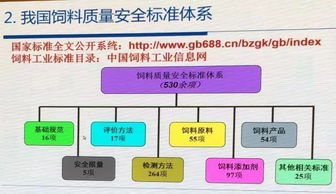 深度剖析：三角洲行动配置需求及其对现代网络安全体系建设的重要影响