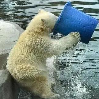 尘白禁区哪个角色厉害？看看谁掌握最强力量！