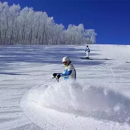 (尽情开心的意思)尽情开心大冒险：探索乐趣，畅游百度百科的丰富资源
