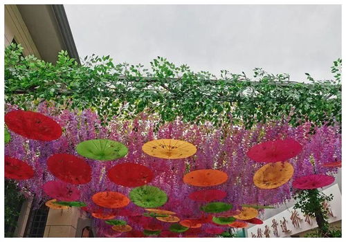 深秋黄叶落，花园之间白金攻略：手把手教你如何巧妙布局最优赏花路线