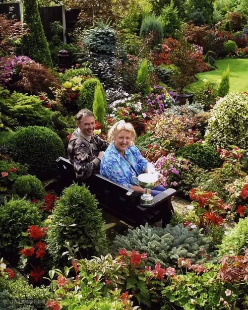 (时间花园官网)在时间花园中绽放的植物：穿越时光的生机与灵动