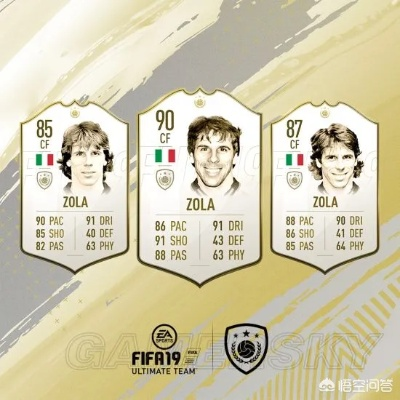 (fifa足球啥意思)深入解析：FIFA的含义及其在国际足球中的重要角色与影响