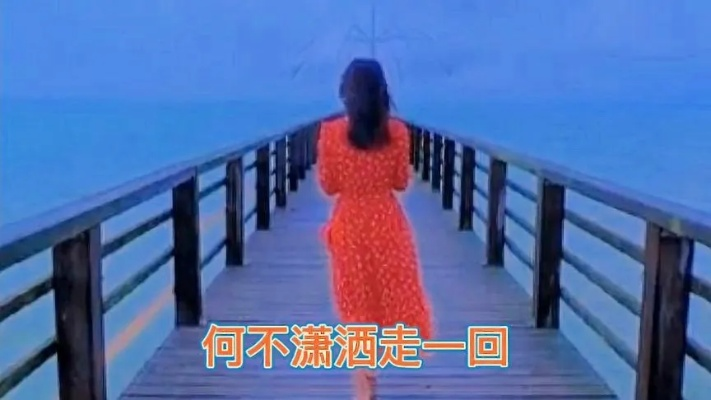 (潇洒走一回原唱dj)潇洒走一笑江湖 (dj小瑞版)原唱，风格独特引人入胜