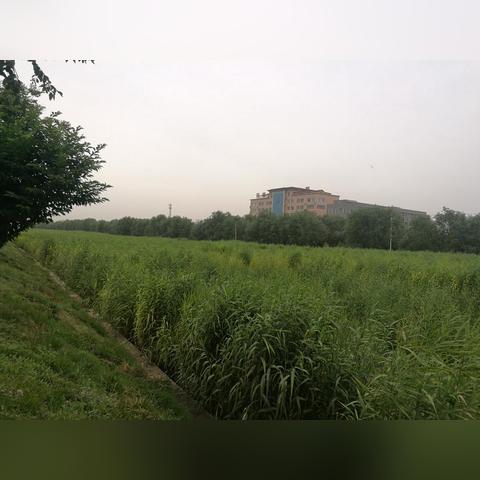 (江个湖怎么出游)水域资源丰富的江个湖土行，何以属性能加强生态环境保护？