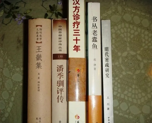 探讨宅人传说沈律在文学史上的不同版本和演变情况共有几版？