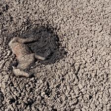 (即将发生的灾难)震撼！前方高能预警，即将爆发令人震惊的事件