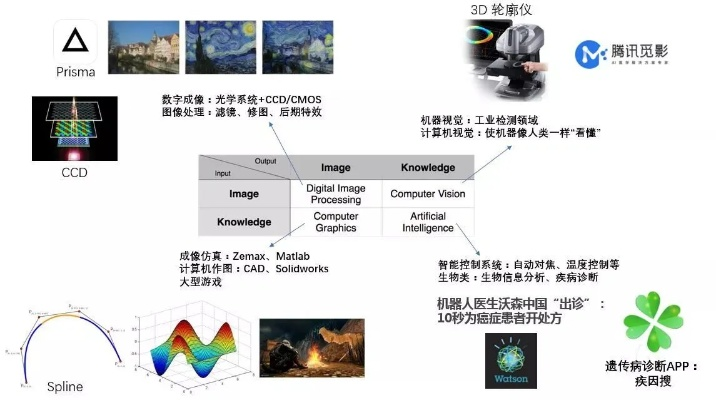 青色大脑安卓移植版：脑科学技术的革命性进展及其应用前景探究