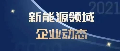 霸主行动是指一方在特定领域或领域中设置自己为行动的主导者。
