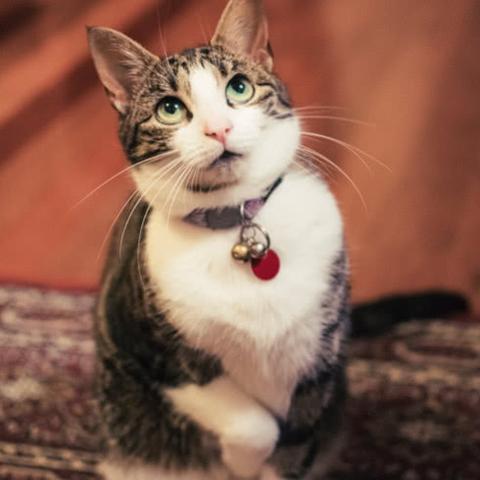 (一击必中上一句是什么)一击必中免费阅读笔趣阁，最新热门小说免费阅读推荐