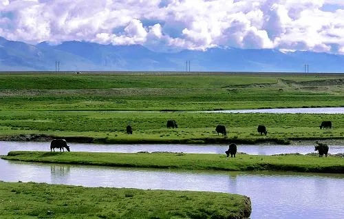 探究江河湖泊土壤行走加入生态属性后的环保价值：以健康生态圈的构建为核心要点