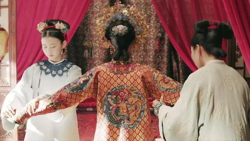 (延禧攻略番外完整 全集)延禧攻略番外中文版免费观看地址最新更新2021年