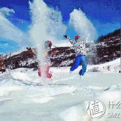 (花之舞平民攻略)花之舞0氪玩家的养伙伴秘籍大揭秘