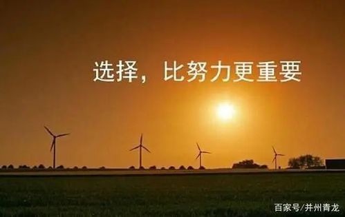 (选择的走)选择的大门已经打开，抉择之路即将展开新篇章