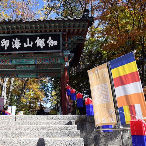 (魔法全书1游戏攻略)《魔法全书2》详细游戏攻略：过关技巧与隐藏要素一网打尽