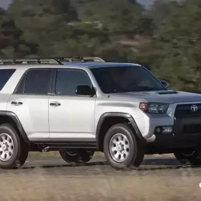 探索未知世界，成为宠物冒险家陆服版中的勇敢探险者