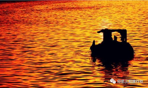 漫步在夕阳之丘，感受大自然的魅力和宁静，心灵深处的思考和回荡