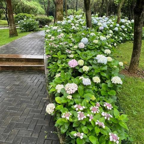 梦幻精灵王腾讯版：带你进入奇幻的精灵世界，探索无尽的冒险与乐趣