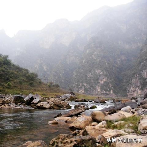 探秘秘境：揭开精灵王国的神秘面纱，揭示其自然和环境保护的重要性
