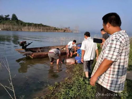 大学生挂科后突然失联，被发现已溺亡在校园附近，家人悲痛难抑