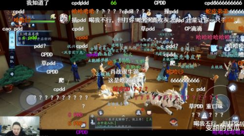 (神秘代号桌游)神秘任务揭秘：探寻代号ZNY的真相，揭开隐藏在幕后的神秘面纱