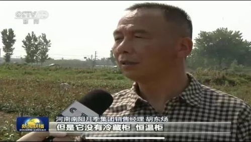 渣渣辉是谁？他的背景故事和意义是什么？近年来为何备受关注？