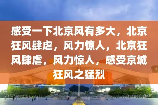(飙风的意思)华语翻译风飙：振奋澎湃，引人入胜