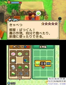 (3ds牧场物语有哪些)UKV版本3DS牧场物语卡推荐：全新游戏体验等你来探索