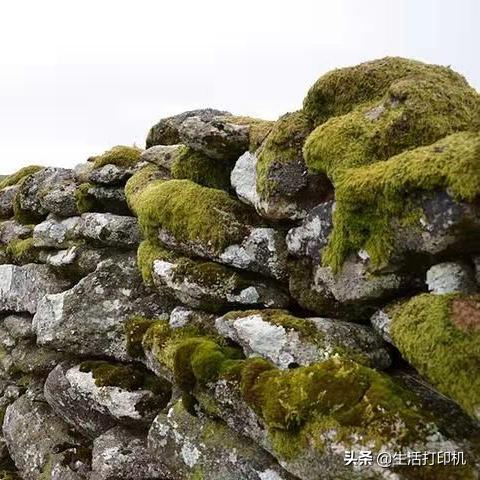 (寻找仙境)探索仙境之旅：全面攻略神奇冒险，揭秘隐藏宝藏与挑战！