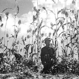 在叫我疯狂武器大师中探索极限武器打造与战略布局的无尽乐趣与挑战