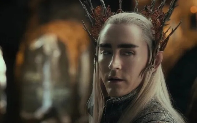 瑟兰督伊的脸怎么了？她的表情为何如此古怪，是否有隐藏的故事？