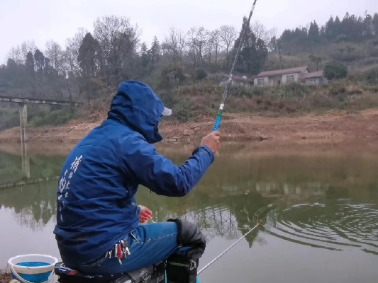 (探索节目 钓鱼)探索钓鱼大咖官方网：钓鱼技巧分享与爱好者交流的理想平台