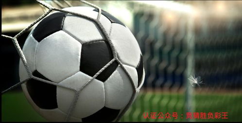 (足球射门动作术语)足球运球射门动作要领详解，让你踢出高水平的进球技巧