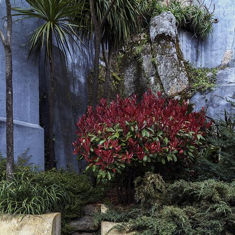 探索策略与冒险的完美结合：详解城堡奇兵小游戏中的战术策略与挑战过程