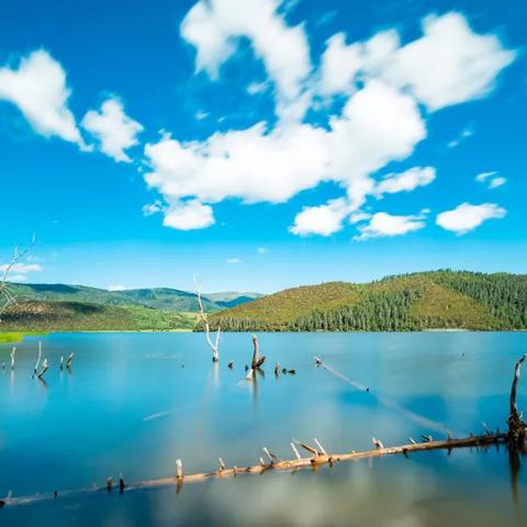 (穿越苦海,走向彼岸诗集在线阅读)穿越苦海，走向彼岸诗集