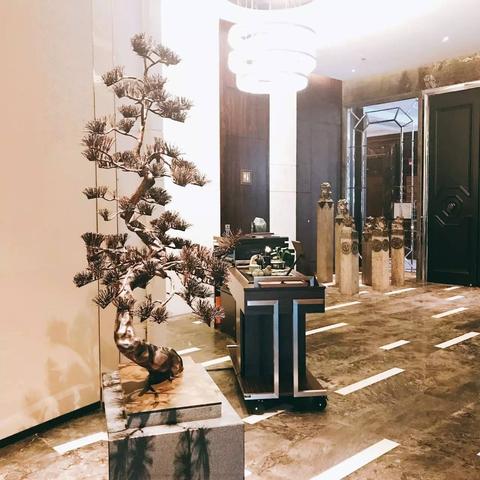 (明月在天空歌词)在明月无云的夜晚，畅游虚拟世界的无限可能与心灵的探索之旅