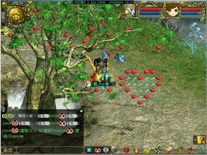 (问道封神手游官网)探寻问道手游封神榜解锁攻略，轻松应对游戏挑战