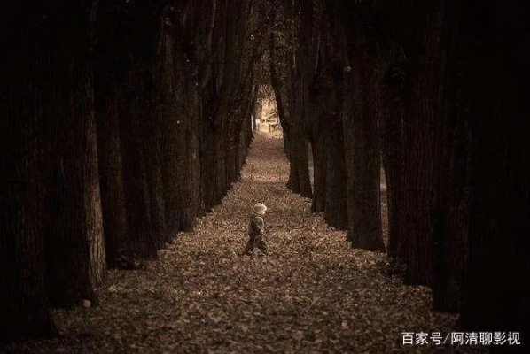 (最后的孤独者事件)探讨孤独与绝望：最后一个地球人的遗留音乐之旅