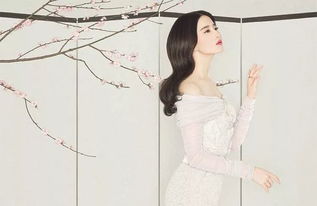 (从女装开始当明星)从明星养成日记到女装大佬攻略：探秘时尚界的璀璨星光之路