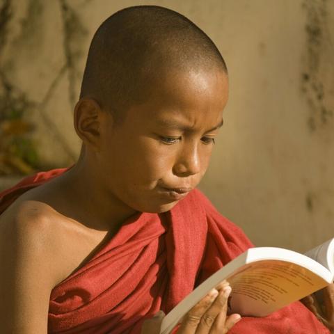 当神奇光芒降临，主角该如何选择命运与荣耀的道路？