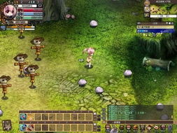 (风色幻想四攻略)揭秘风色幻想4攻略：详细步骤解析配合清晰图片引导