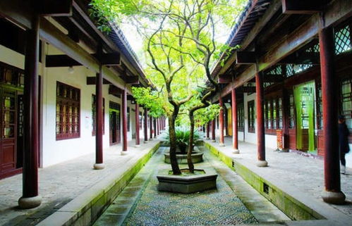 探索古代书院模拟器无限资源的奥秘:如何巧妙管理与发展你的书院 探索古代书院模拟器无限资源的奥秘:如何巧妙管理与发展你的书院