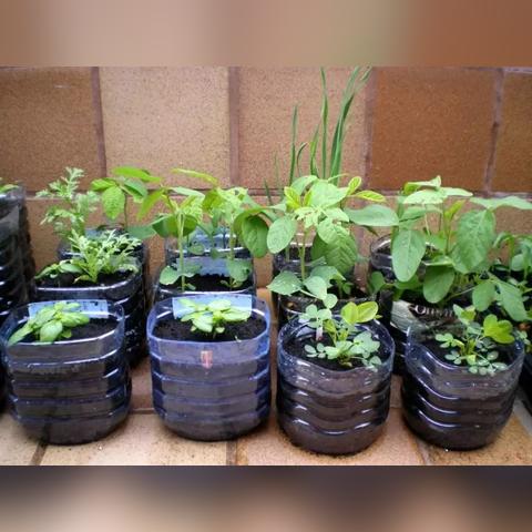 (刀空微信小游戏介绍)刀空微信小游戏APP：探索激烈战斗与策略角色扮演的完美结合