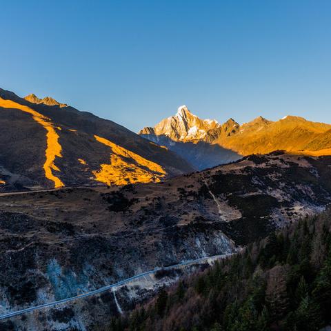(猎人之王者荣耀)探寻最终王者的道路：王者猎人网页版全新版本震撼上线！